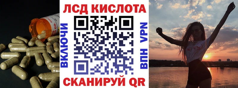 kraken сайт Вяземский LSD-25 экстази кислота