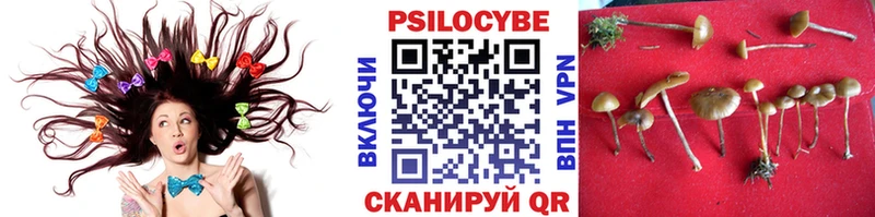 сколько стоит  Вяземский  Галлюциногенные грибы прущие грибы 