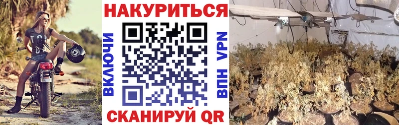 Каннабис марихуана  Вяземский 